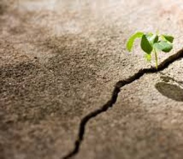 The Surprising Benefit of Going Through Hard Times