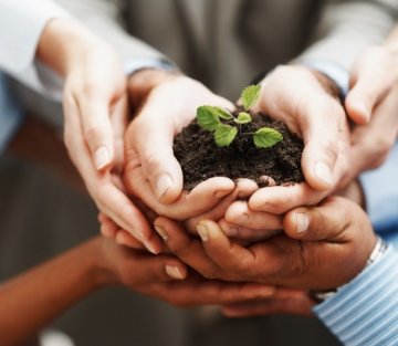 Six Cities Designed for Health