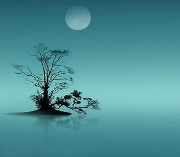 Why Silence Is So Good for Your Brain