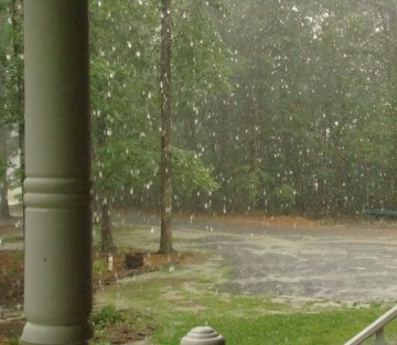 Remember to Remember: Nicholas Hlobeczy