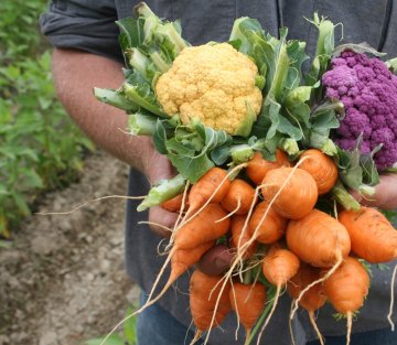Prison Gardens: Food for Body and Soul