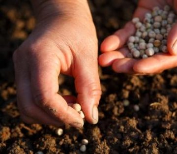 Billions in Change: the Billionaire Who Gives Away 99% of His Wealth