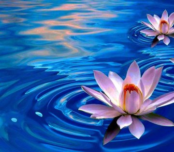 A Eulogy for My Mother