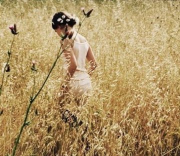 Paying Attention, Discovering Joy: a Conversation with Barbara Crooker