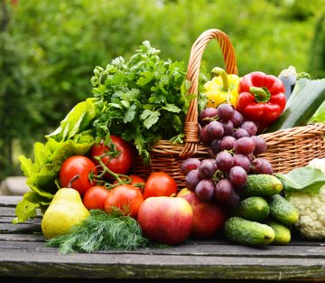 The First Allergy-Friendly Food Bank