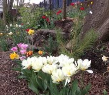 The Man Who Transformed a Wasteland