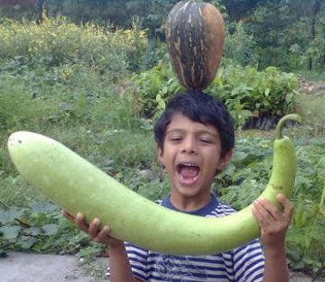 Lessons From Living in Nature