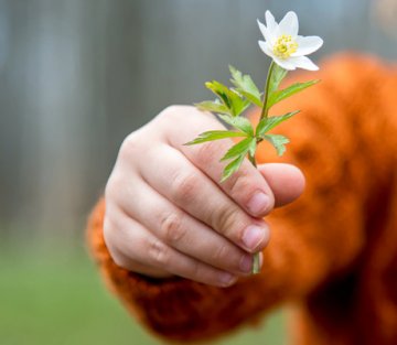 The Giving Season