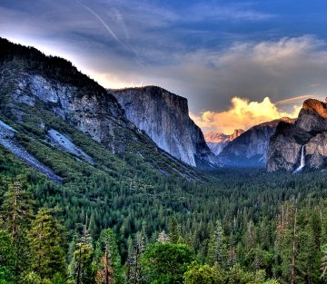 John Muir's Spiritual and Political Journey