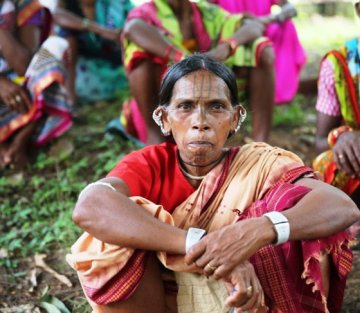 The Women Who Restored Jungles