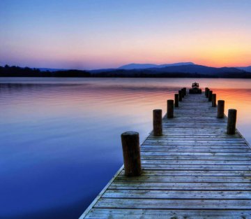 From Stands with Fists to Dances with Wolves