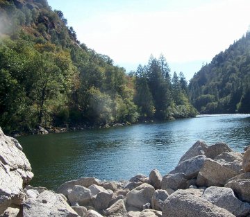 How Do We Wake Up?: a Conversation with Mark Dubois