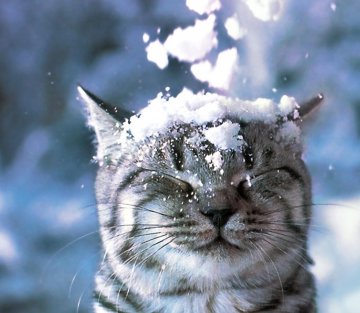 Why Is It So Hard to Take Your Own Advice?