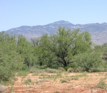 Anthony Rubino | When Serendipity Touches a Journey