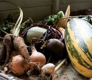 Building Roots: a Remarkable Market in a Shipping Container