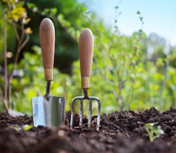 Business Lessons From a Quiet Gardener