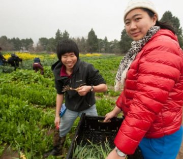 5 Schools Moving the Needle on Sustainability