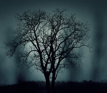 What Fear Can Teach Us
