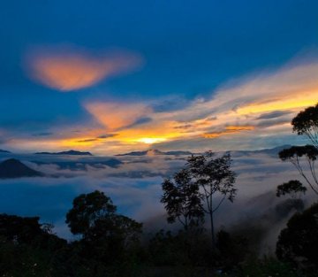 Community-Led Initiatives That Are Protecting the Natural World