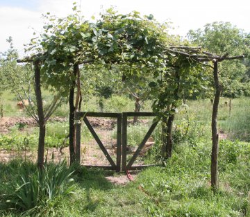 A Visit to the Possibility Alliance