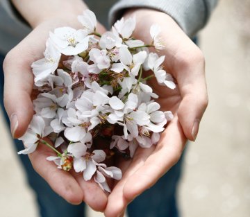 Five Limits Your Brain Puts on Generosity