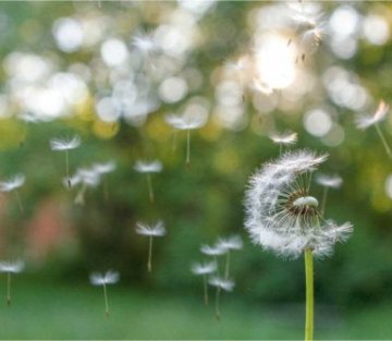 Mind the Stream: Where Mindfulness and Technology Meet