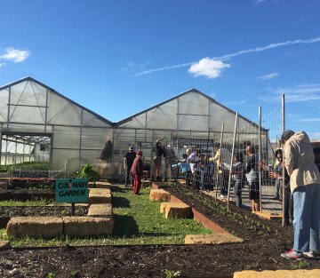 How Urban Agriculture Is Transforming Detroit