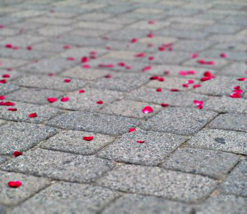 The Empty Promise of Productivity and the Art of Slowing Down
