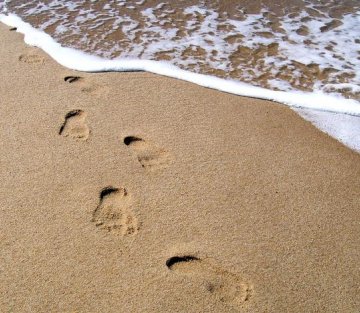 A Mind Seeking Permanency Soon Stagnates