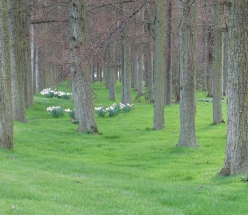 Uncolonising the Imagination