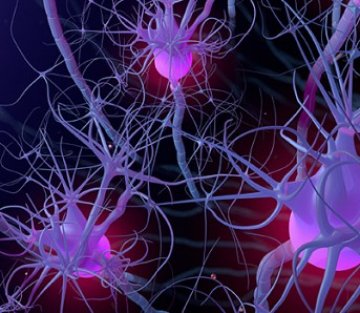 Elucidating Human Consciousness Through Art