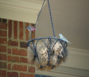 Dare to Be Astonished