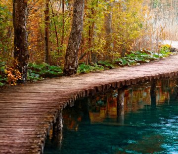 The Wordplay of Pathways