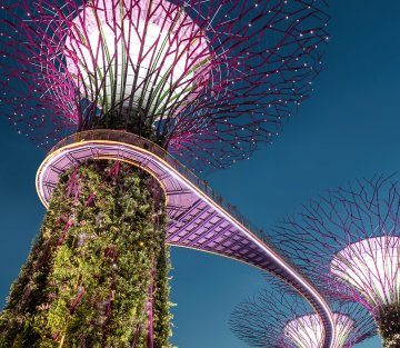 Healing Civilization Nature's Way