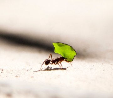 5 Ways Small Actions Have Huge Power