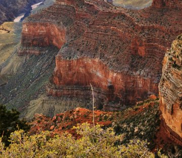 How Silence Leads Us to Awe