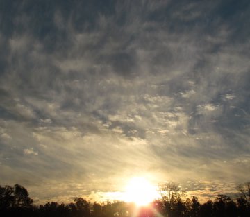 Sustainability and the Sacred