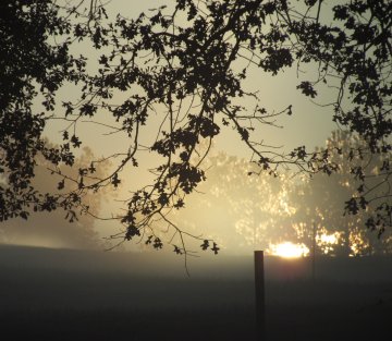 New Approaches to Healing Collective Conflict and Trauma