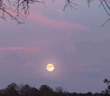 Finding Hope in Hopelessness