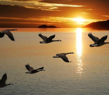 How Conscious Leadership Can Unlock a Better Workplace