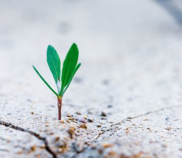 Family Is Helping Others to Heal