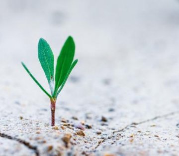 Quantitative and Qualitative Healing