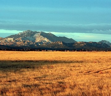 Seven Generations of Love