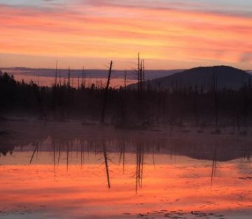 Recording the Healing Sounds of Nature