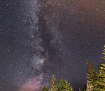 All My Best Words Were Hers: a Tribute to Ursula Le Guin