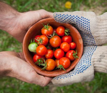 Why a Borrower or a Lender You Should Be