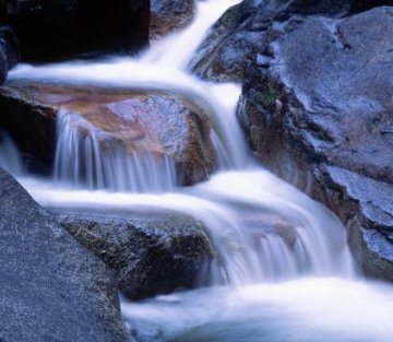 The Gentlest Thing in the World