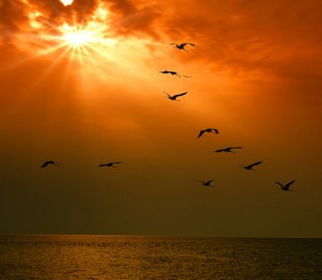 God Who Weeps: a Story of Grief and Redemption