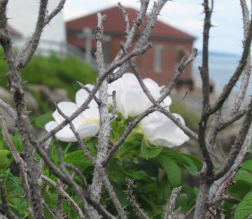 The Seasons of the Soul