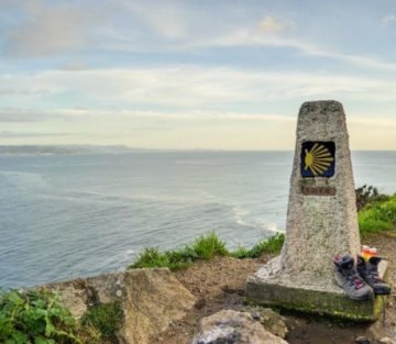 Petra Wolf: Many Rivers Flowing